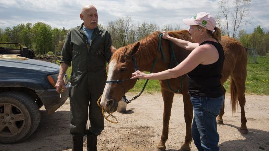 The Incredible Dr. Pol - Epizóda 8