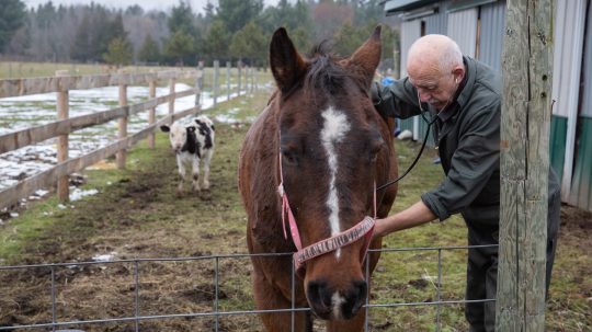 The Incredible Dr. Pol - Epizóda 10