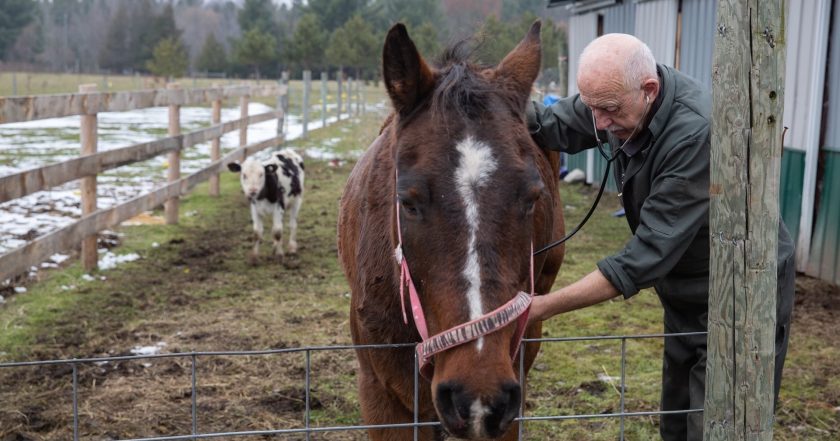 The Incredible Dr. Pol