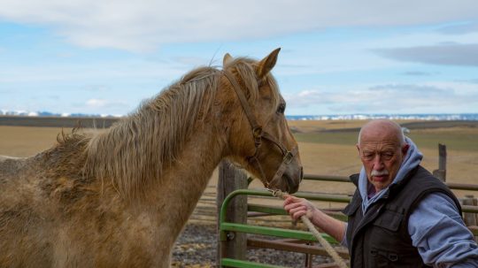 The Incredible Dr. Pol - Epizóda 2