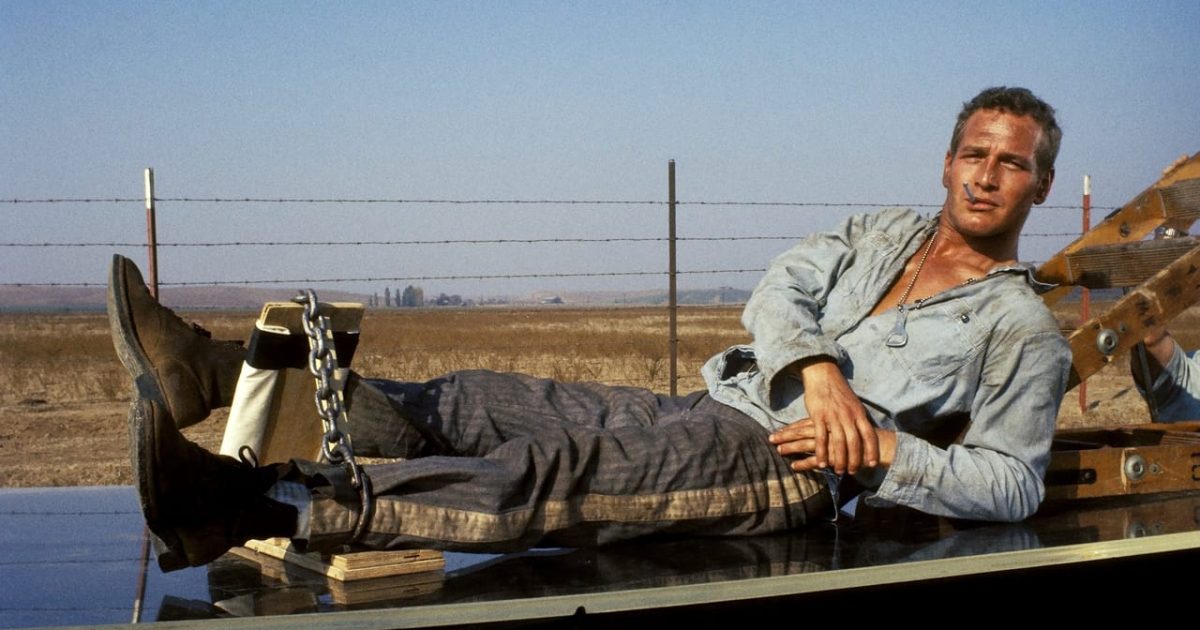 Cool Hand Luke