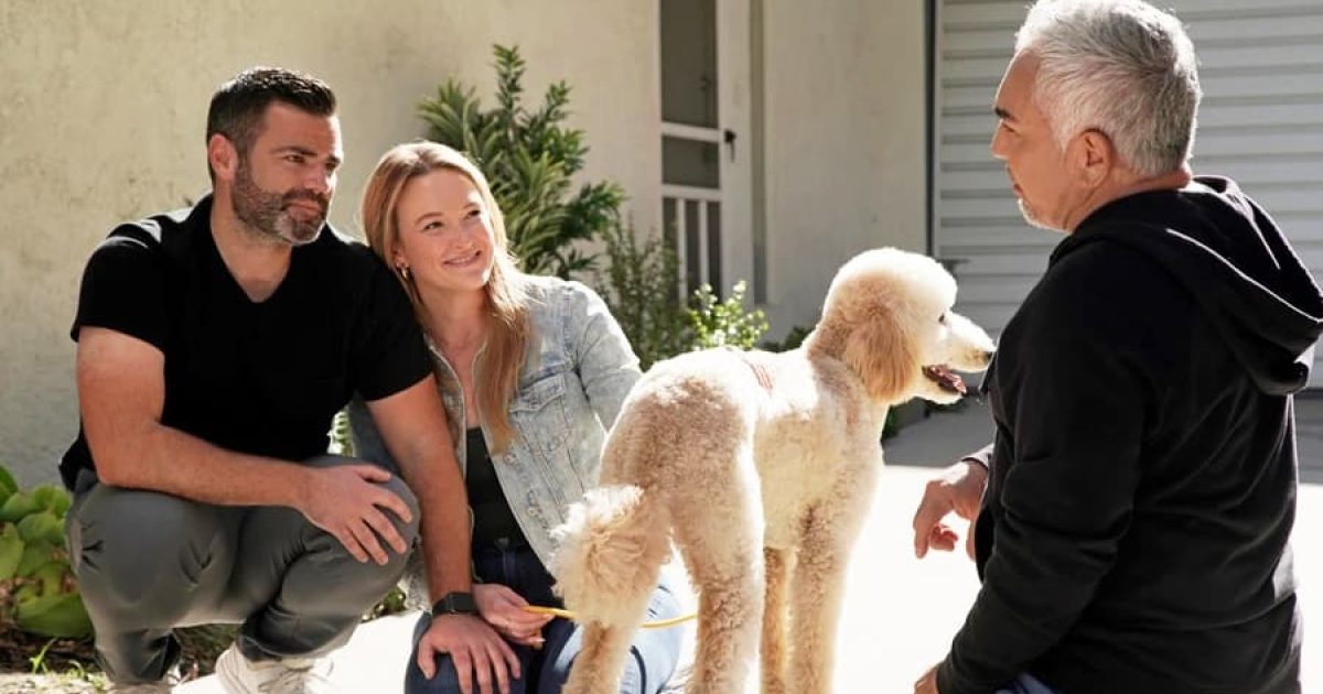 Cesar Millan: Better Human, Better Dog