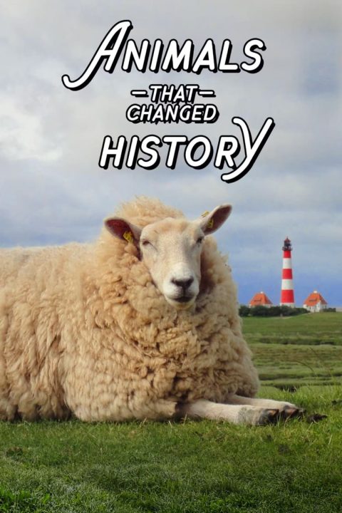 Plagát The Animals That Changed History