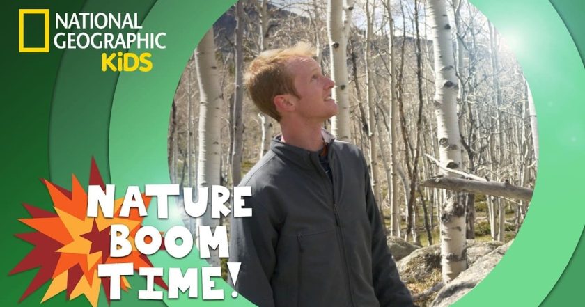 Nature Boom Time