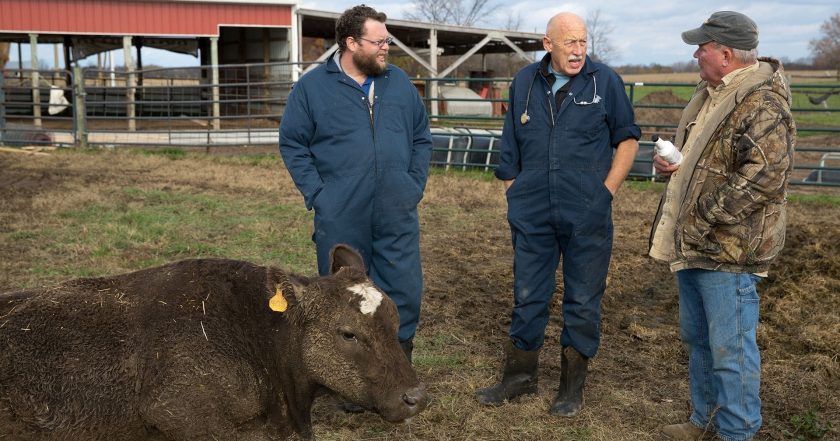 The Incredible Dr. Pol