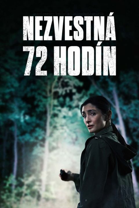 Plagát Nezvestná 72 hodín