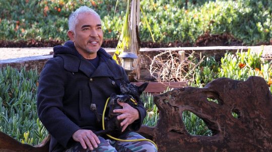 Cesar Millan: Better Human, Better Dog - Epizóda 7