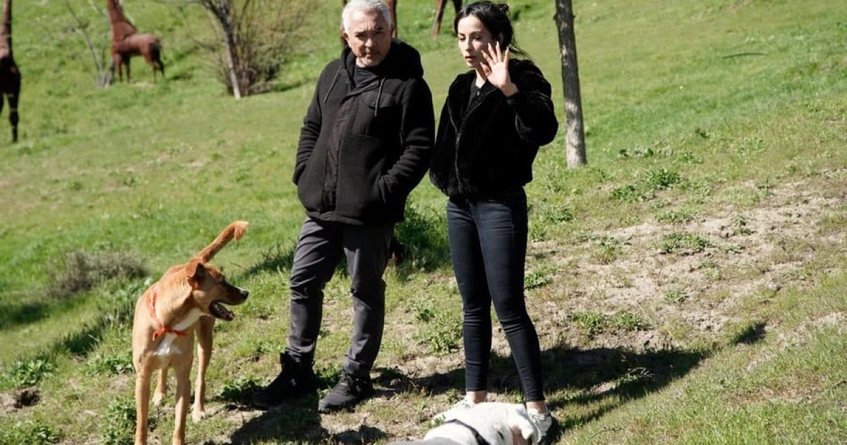 Cesar Millan: Better Human, Better Dog