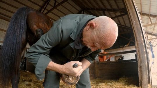 The Incredible Dr. Pol - Epizóda 10