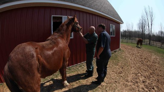 The Incredible Dr. Pol - Epizóda 4