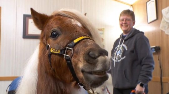 The Incredible Dr. Pol - Epizóda 2