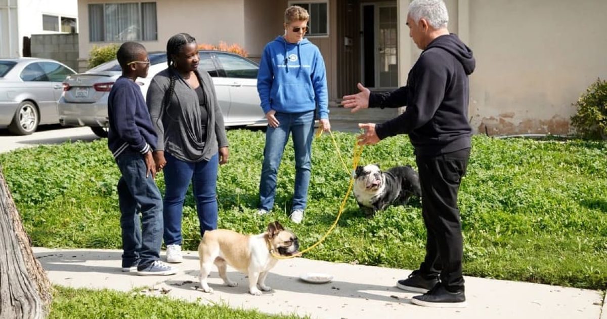 Cesar Millan: Better Human, Better Dog