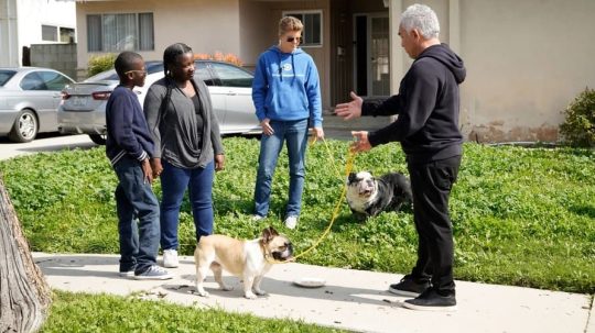 Cesar Millan: Better Human, Better Dog - Epizóda 2