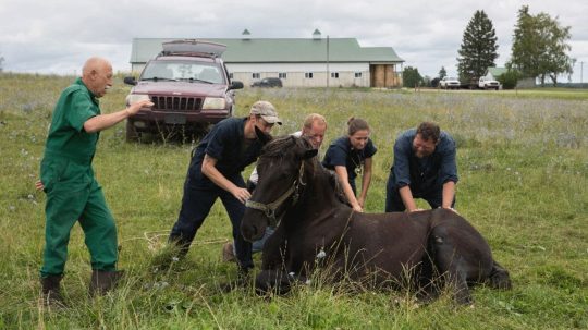 The Incredible Dr. Pol - Epizóda 9