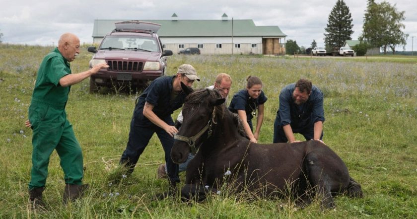 The Incredible Dr. Pol