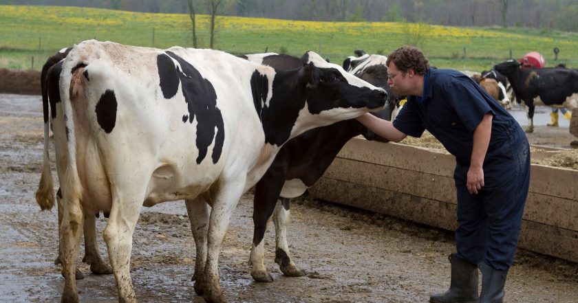 The Incredible Dr. Pol