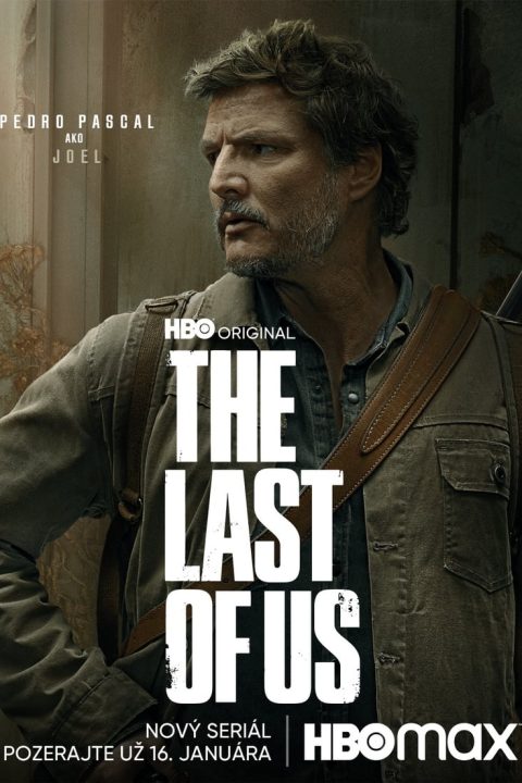 Plagát The Last of Us