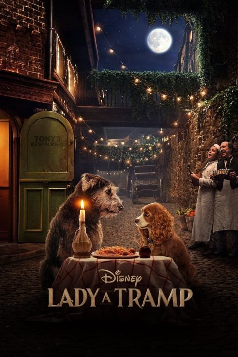 Lady a Tramp