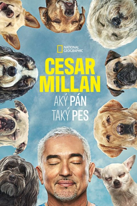 Plagát Cesar Millan: Better Human, Better Dog