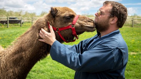 The Incredible Dr. Pol - Epizóda 5