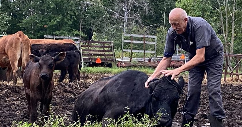 The Incredible Dr. Pol