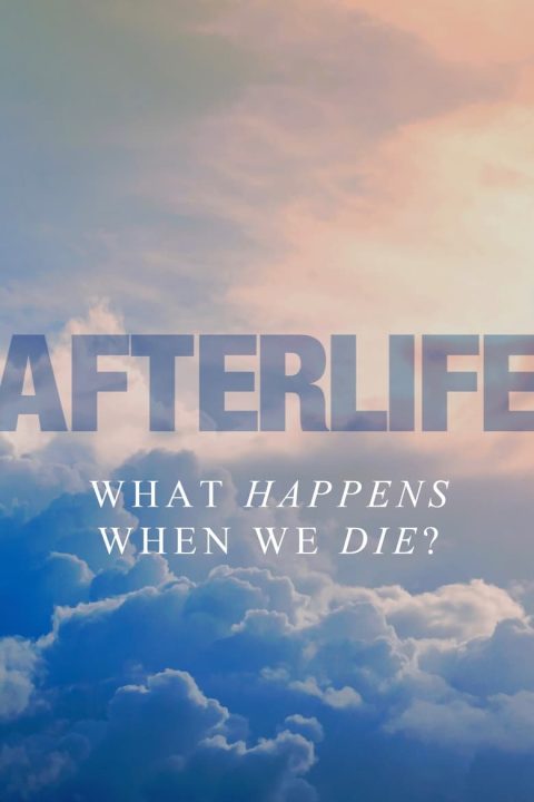 Plagát Afterlife