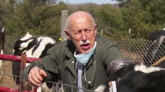 The Incredible Dr. Pol - Epizóda 3