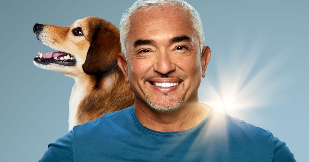 Cesar Millan: Better Human, Better Dog