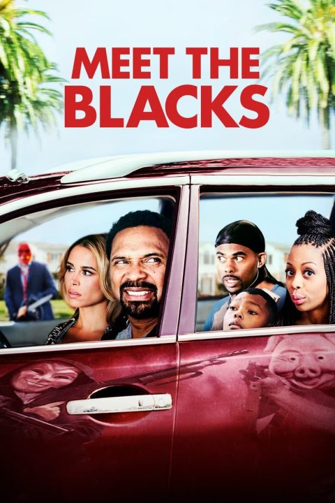 Plagát Meet the Blacks