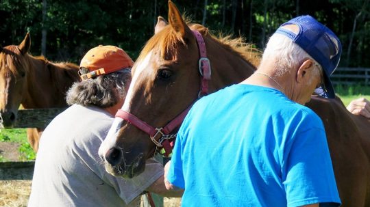 The Incredible Dr. Pol - Epizóda 7