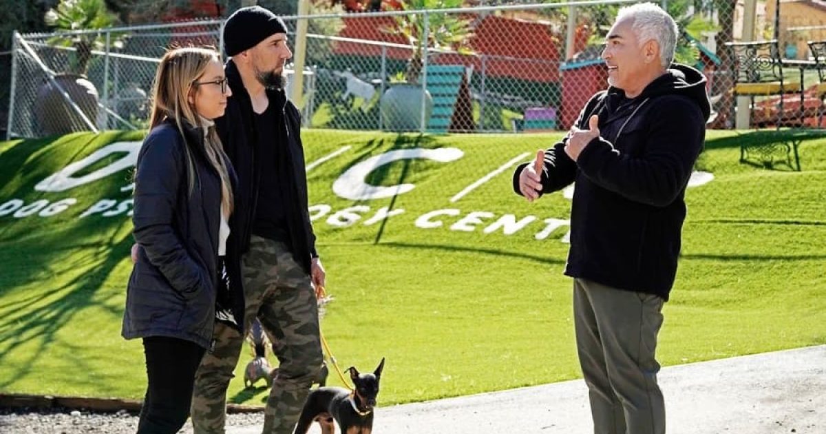 Cesar Millan: Better Human, Better Dog