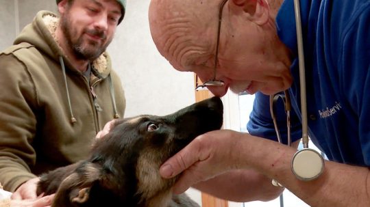 The Incredible Dr. Pol - Epizóda 6