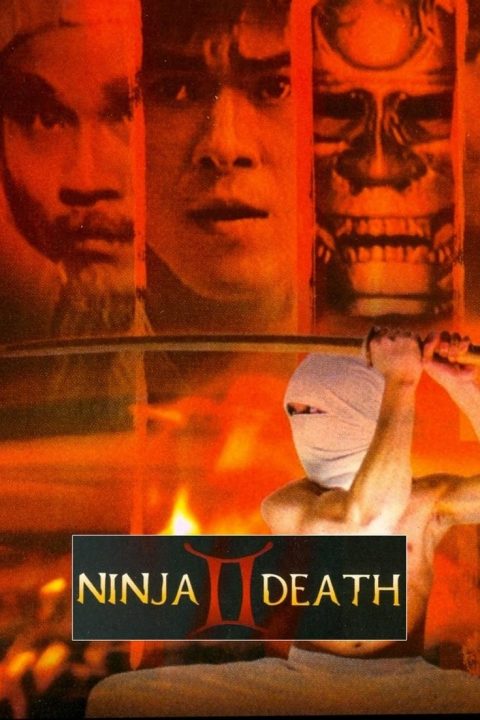 Plagát Ninja Death 2