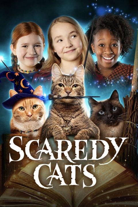 Plagát Scaredy Cats