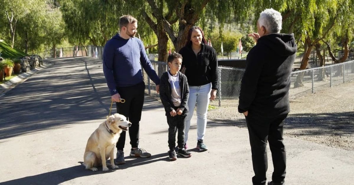 Cesar Millan: Better Human, Better Dog