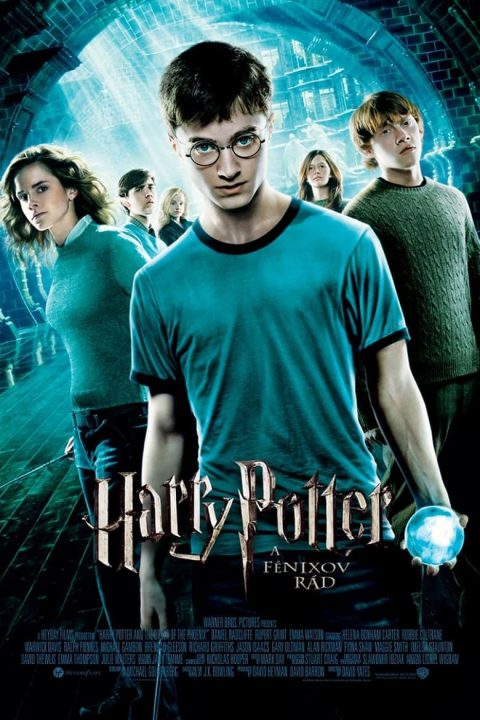 Plagát Harry Potter a Fénixov rád
