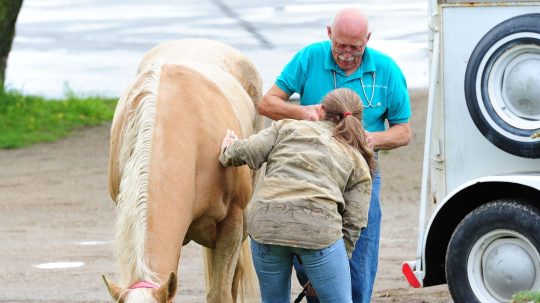 The Incredible Dr. Pol - Epizóda 3