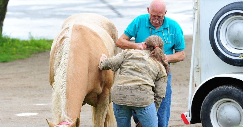 The Incredible Dr. Pol