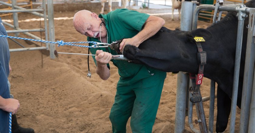 The Incredible Dr. Pol