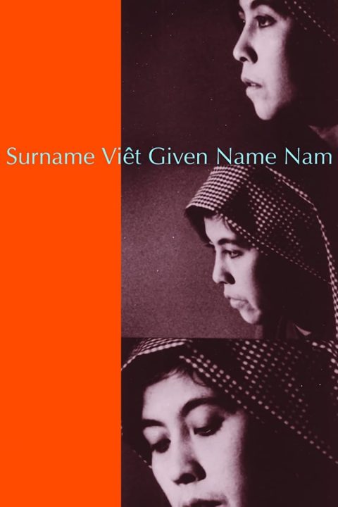 Plagát Surname Viêt Given Name Nam