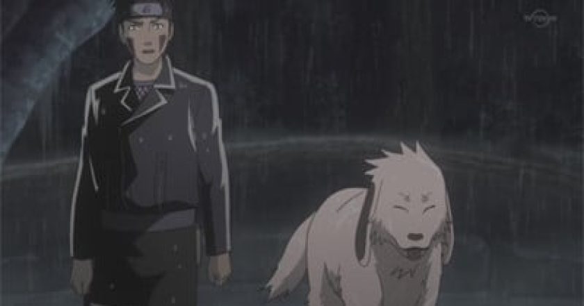 Naruto: Shippūden