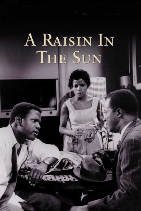 Plagát A Raisin in the Sun