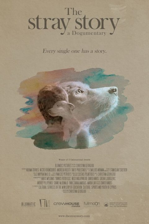 Plagát The Stray Story: A Dogumentary