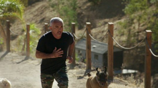 Cesar Millan: Better Human, Better Dog - Epizóda 3