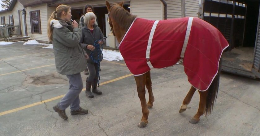 The Incredible Dr. Pol