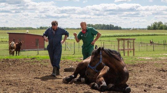 The Incredible Dr. Pol - Epizóda 8