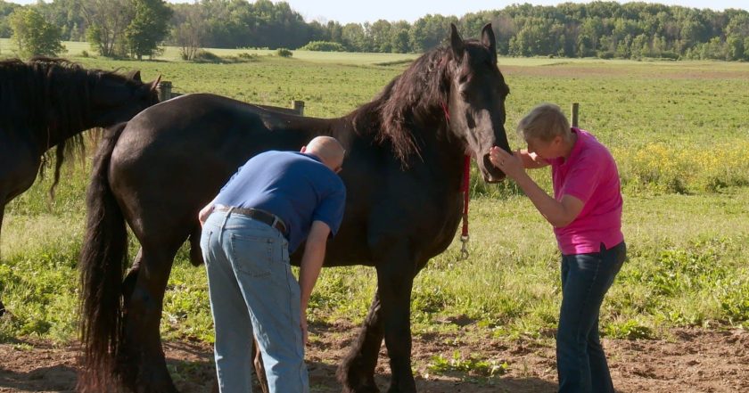 The Incredible Dr. Pol