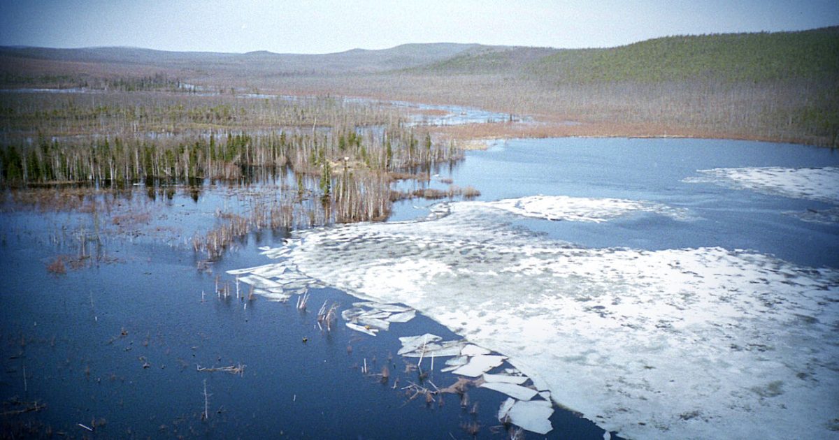 Das Rätsel von Tunguska